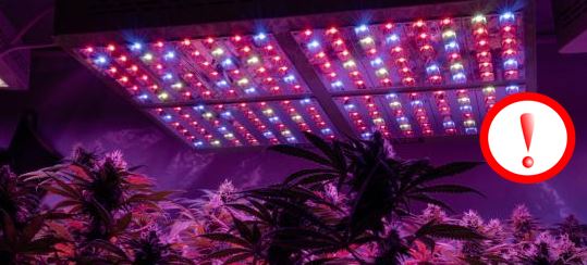 Disadvantages of LED growing